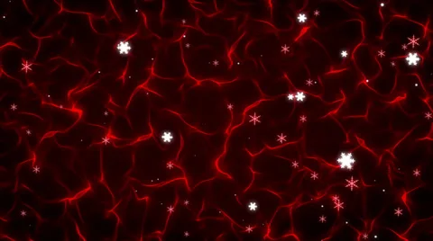 Winter Red Form Stock Footage 33821595