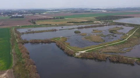 Winter reed in heart of fields 스톡 동영상 125910071
