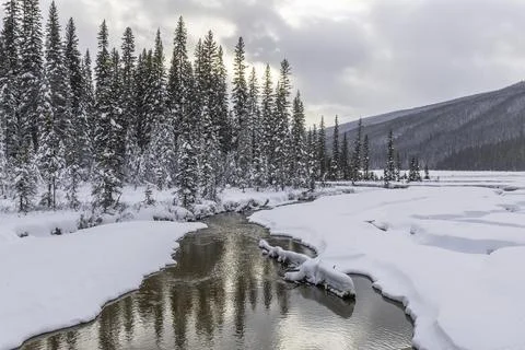 Winter Reflection in Emerald Lake Stock Photos