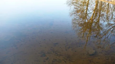 Winter reflection 스톡 사진