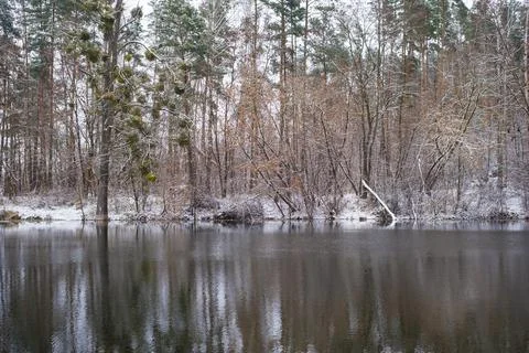 Winter reflection Stock Photos