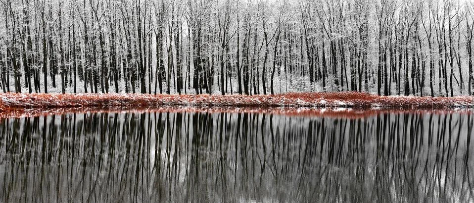Winter Reflection Scene Stock Photos