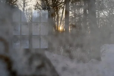 Winter reflection in a windowpane Foto stock