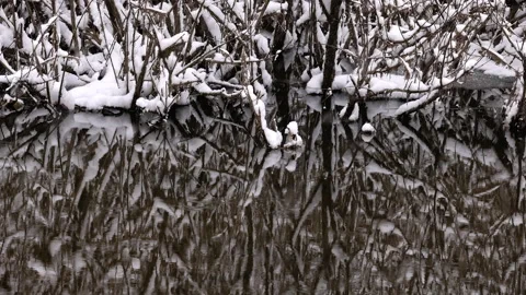 Winter reflections Stock Footage 170623231