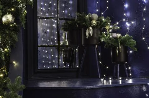 Winter Reflections Фото