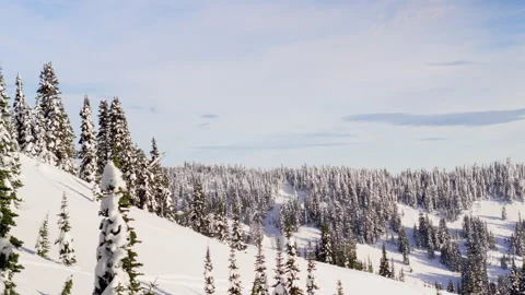 Winter Ridge Stock-Footage 315114820