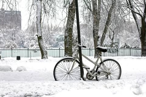 Winter riding Foto stock