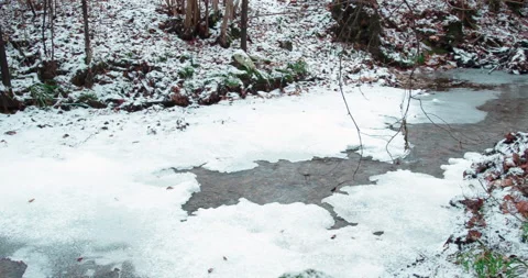 The Winter River #2, Green Grass, Trees and Orange Leaves Stock Footage 136669980