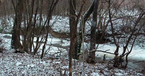 The Winter River #4, Many Trees and Leaves Stock Footage 136670311