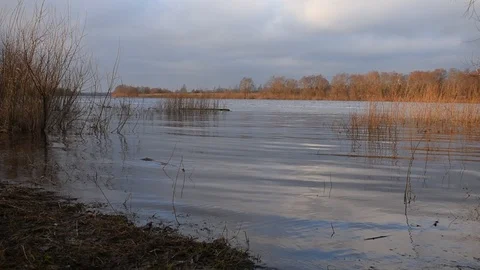 Winter river, abnormally warm winter Stock Footage 122269676