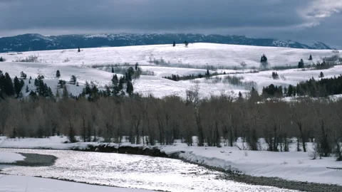Winter River and Bare Trees with Snowy Valley Stock Footage 313453620