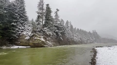 Winter river and forest in the mountains. snowy forest and mountain river Stock-Footage 276507154