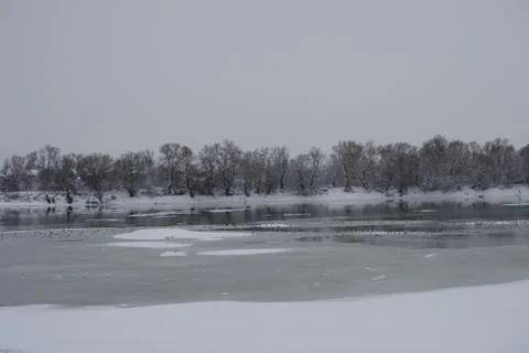 Winter River and forest	 Stock Photos