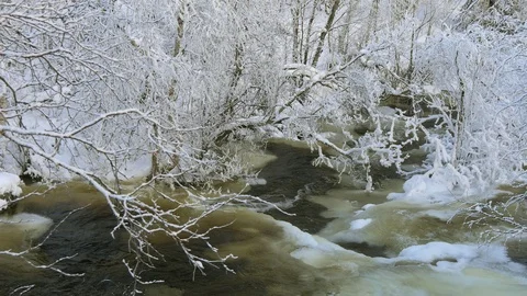 Winter river and snow-covered forest. Stock Footage 119390917