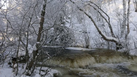 Winter river and snow-covered wood. Stock Footage 119390986