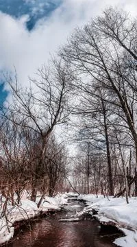 Winter river and trees Foto stock