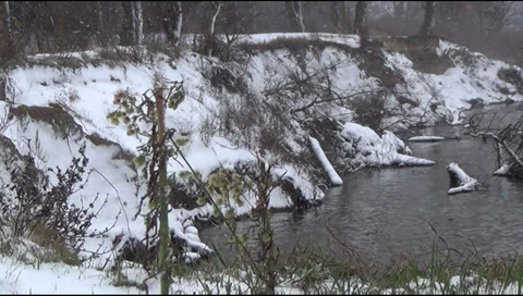 Winter,  river bank 스톡 동영상 33323116