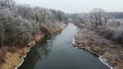 Winter river banks with frosted trees and bushes on a cold day drone flight Stock Footage 168491237