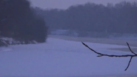 Winter river, branches Stock Footage 101481821