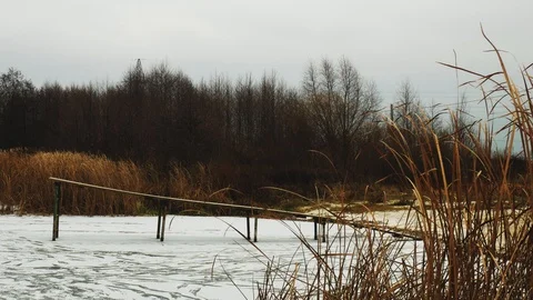 Winter on the river. Cold winter landscape and dry reed. 4k Video stock 99097780