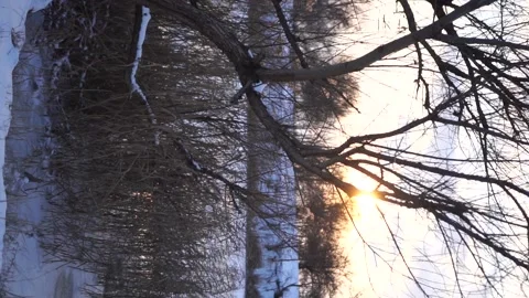 Winter river covered with ice and snow Stock Footage 146779266