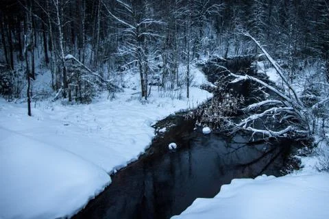 Winter river with dark waters flows through the snow-white banks of trees and Stock Photos