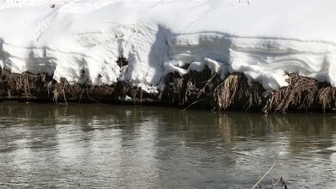 Winter river flow Stock Footage 98484678