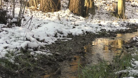 Winter river flow landscape Stock Footage 121401115