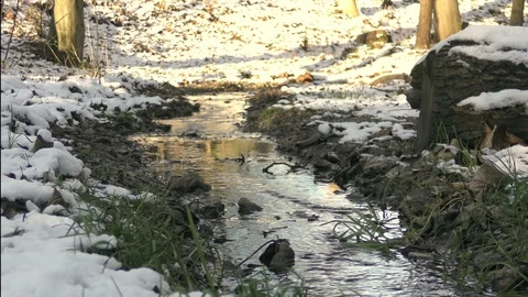 Winter river flow landscape Stock Footage 121401190
