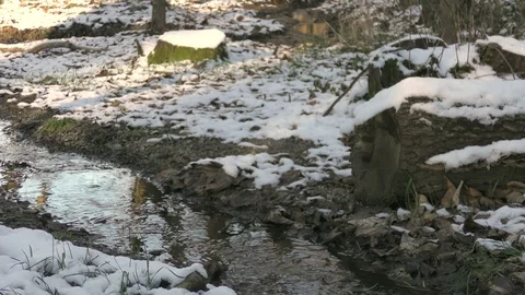 Winter river flow landscape Stock Footage 121401829