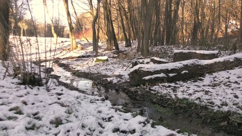 Winter river flow landscape Stock Footage 121402001