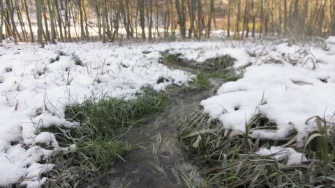 Winter river flow landscape Stock Footage 121402260