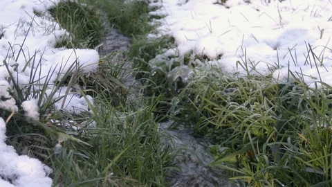 Winter river flow landscape Stock Footage 121402538