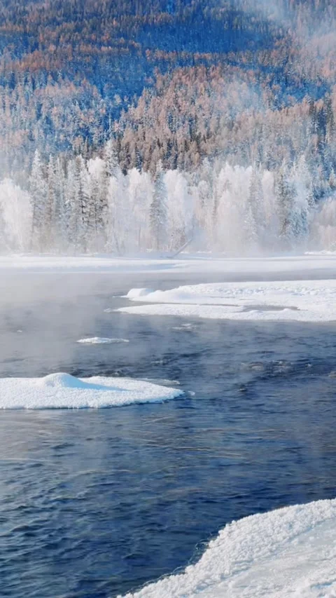 Winter River Flowing with Mist and Rime Ice Trees Vertical Video Stock Footage 326019049