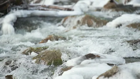 Winter river flowing over snow and ice covered stones, closeup slow motion .. Stock Footage 296163327