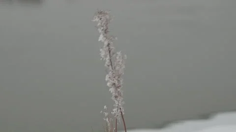 Winter, river Stockbeeldmateriaal 45394599