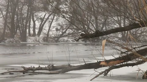 Winter river Stock Footage 47796059