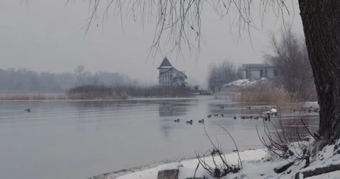 Winter river Stock-Footage 273498059