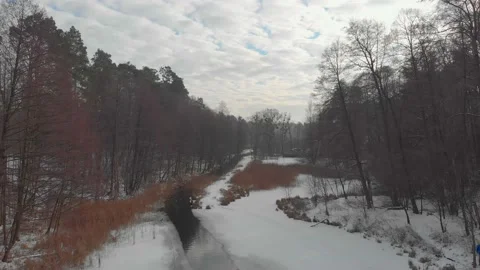 Winter River In Forest Stock Footage 147550072