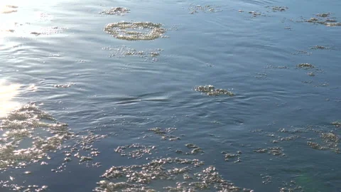 Winter River: Ice 库存影片 332443287