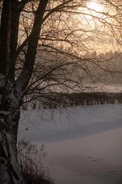 Winter River Landscape With Bare Trees Stock Photos
