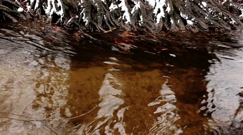 Winter river. Park outdoor Video stock 62450997