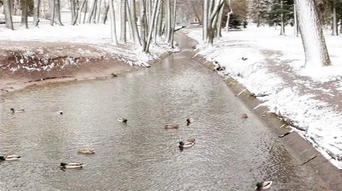 Winter river. Park outdoor Video stock 62515306