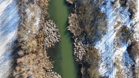 Winter River Path: Aerial View of Snow-Covered Farmland and Frozen Vegetation Stock Footage 281113188