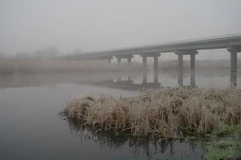 Winter of the river. Stock Photos