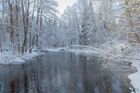 Winter river. Stock Photos