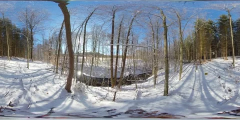 Winter River Scene – Snow-Covered Forest with Bare Trees in Bright Sunlight Stock Footage 342560983