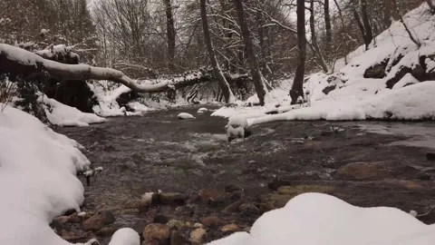 Winter river with snow and forest Stock Footage 148442265