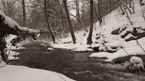 Winter river with snow and forest Stock Footage 148442267