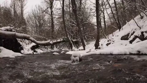 Winter river with snow and forest Stock Footage 148442278